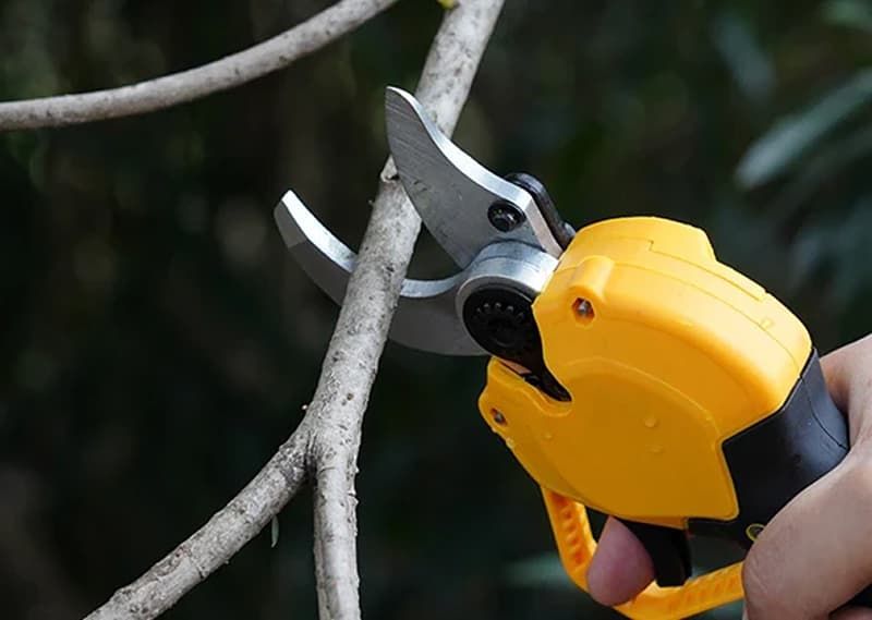 Electric Pruning Shears: What to Know Before Buying