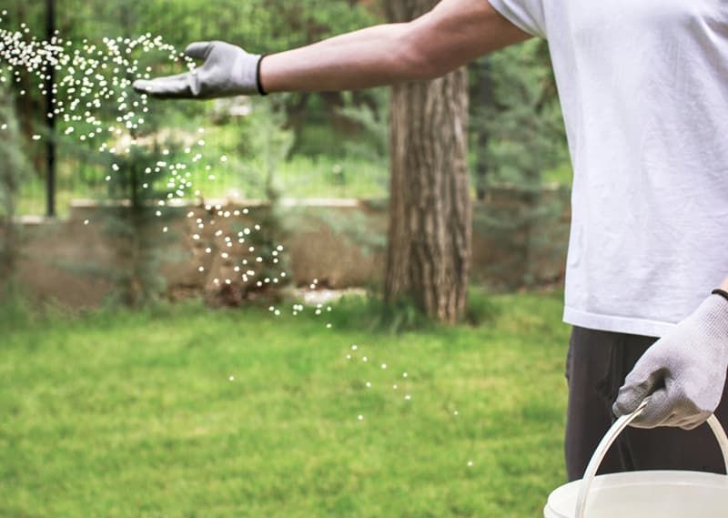 The One Lawn Care Step You Should Never Skip Before Spring Fertilizing